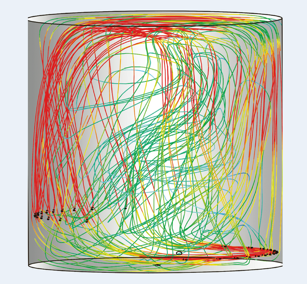 Optimisation of the flow in a cylindrical storage tank for edible oil by three-dimensional computer simulation Vertical section; distribution in terms of space of the flow velocity shown on a colour grid